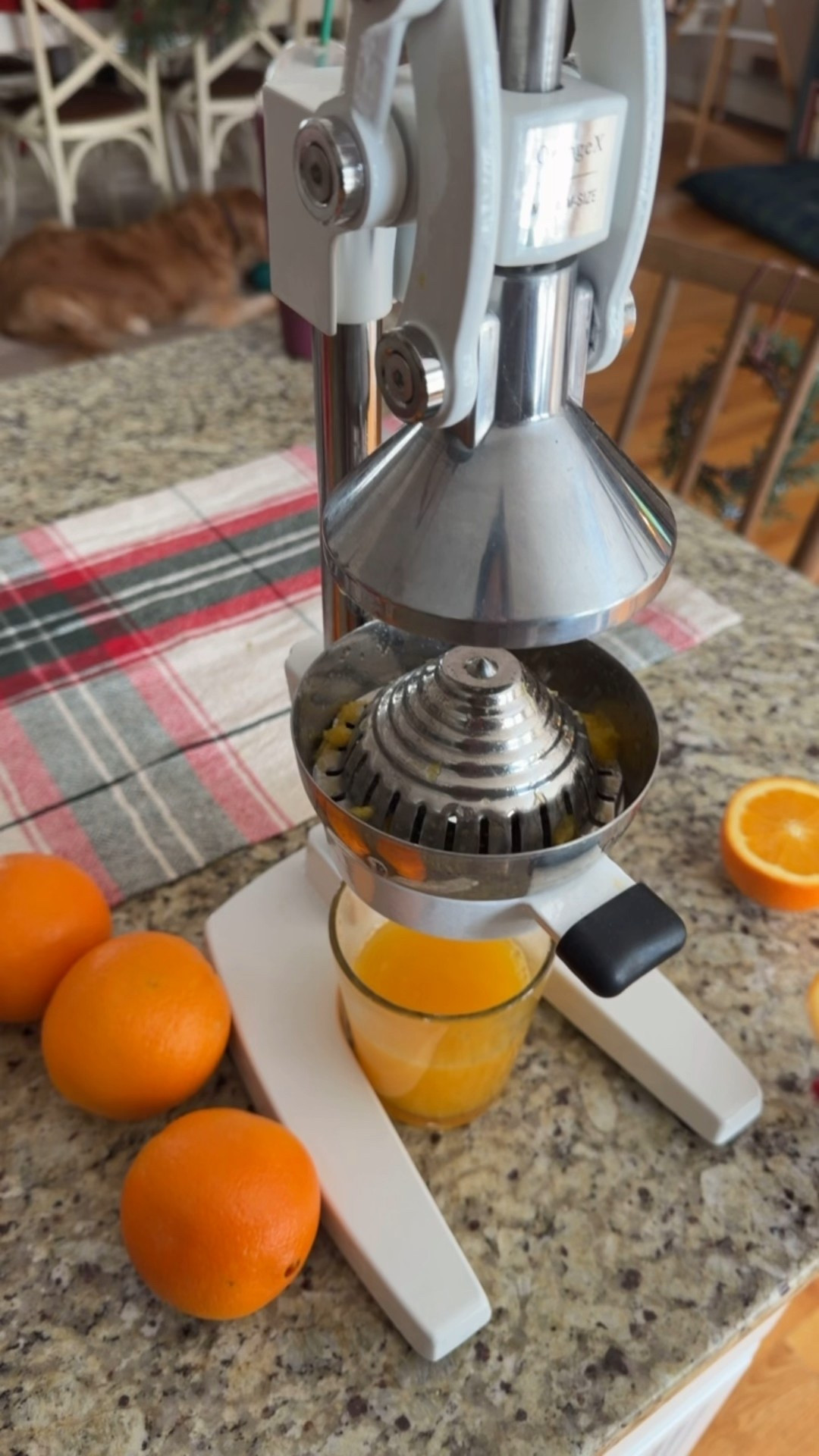 My new favorite kitchen tool! Cast iron citrus juicer 

#LTKmorningroutine #LTKHome #LTKfoodie