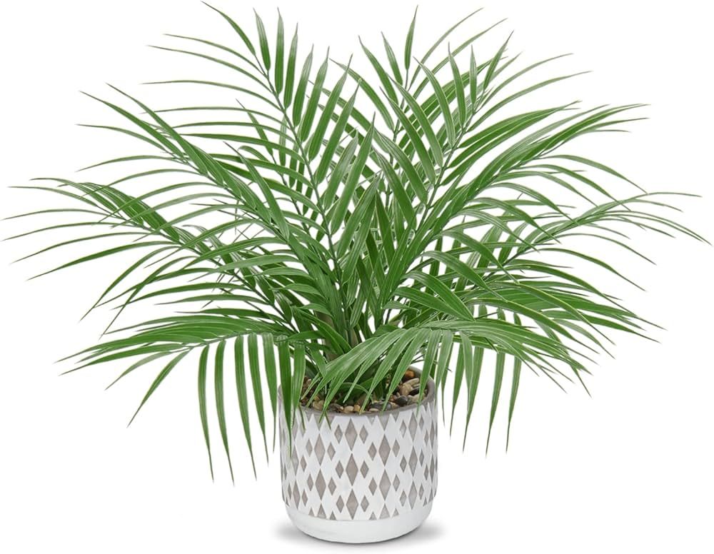 Hollyone Large Artificial Potted Plants Fake Palm Plants 16" Faux Green Plant Plastic Ceramic Tro... | Amazon (US)