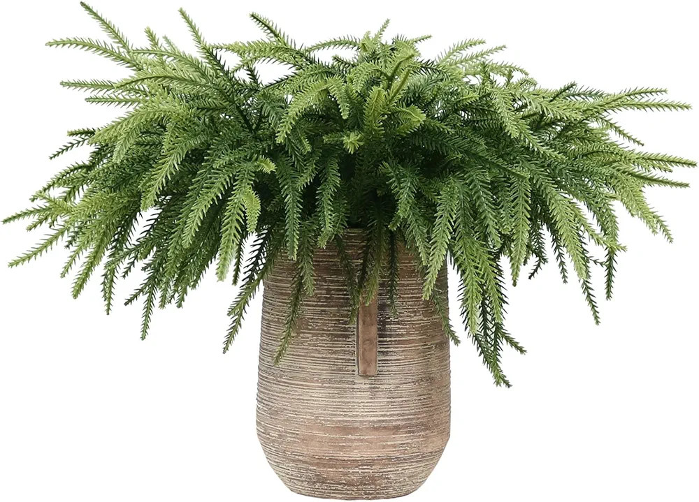 12 Pcs 17.8 inchs Winter Norfolk Pine Stems,Real Touch Norfolk Pine Picks Artificial Christmas Br... | Amazon (US)