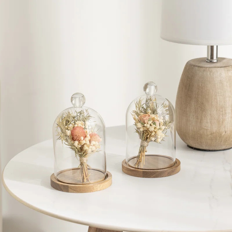2-Piece Mini Decorative Glass Cloche Set (Set of 2) | Wayfair North America