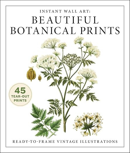 Instant Wall Art: Beautiful Botanical Prints: Ready-to-Frame Vintage Illustrations (Home Design a... | Amazon (US)