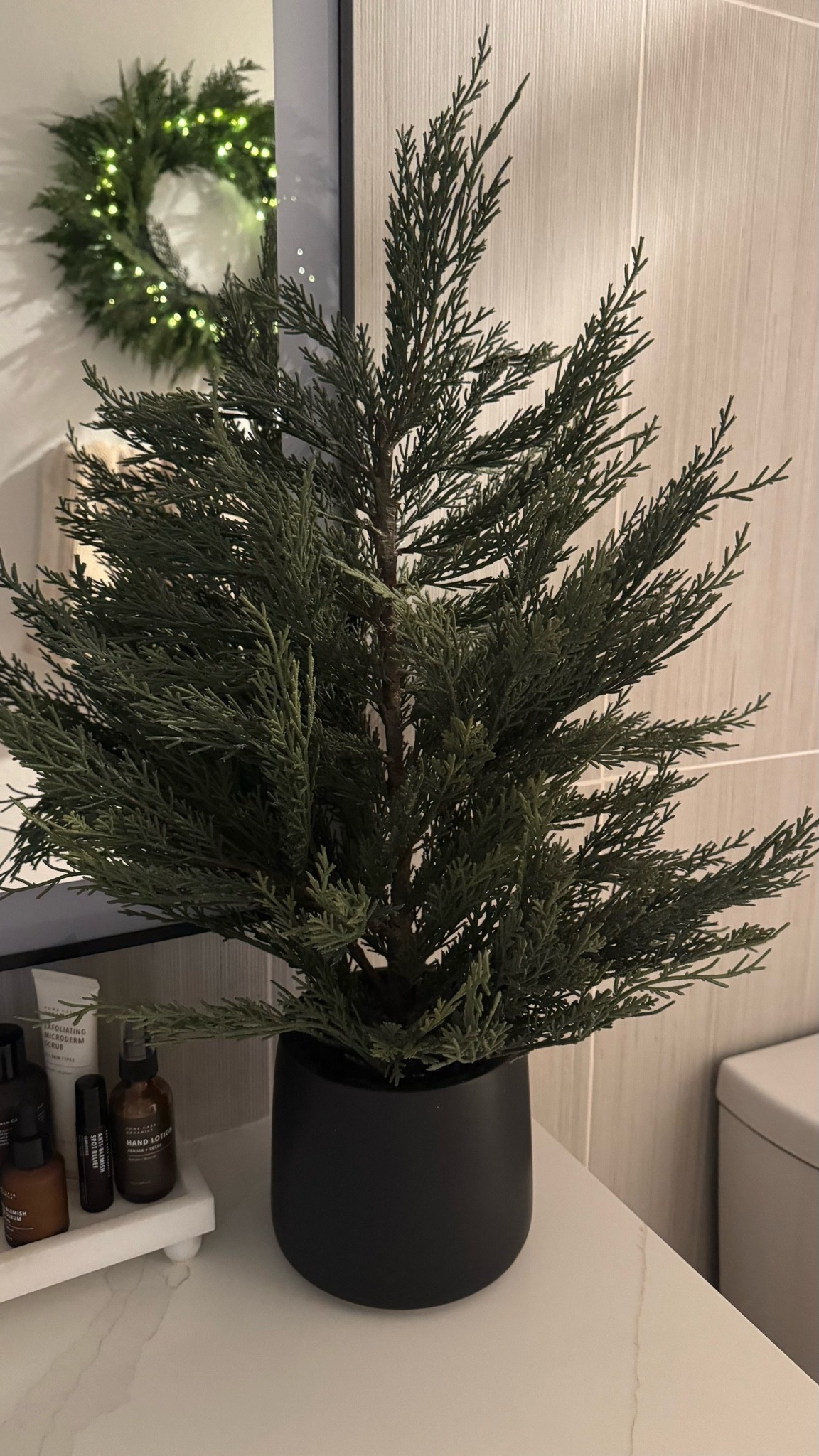 The cutest potted tree🌲

#LTKHome #LTKSeasonal