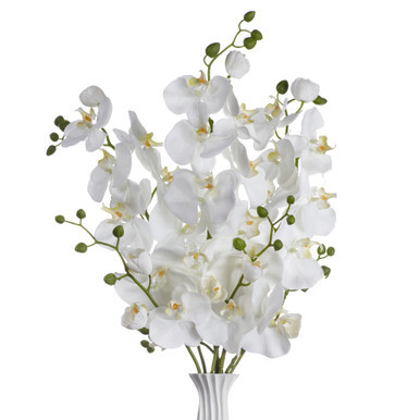 Home  Search: "Floral stems "  Faux Phalaenopsis Spray - Set of 3 | Z Gallerie