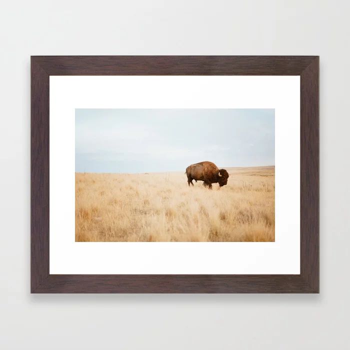 Bison Plaines Framed Art Print | Society6