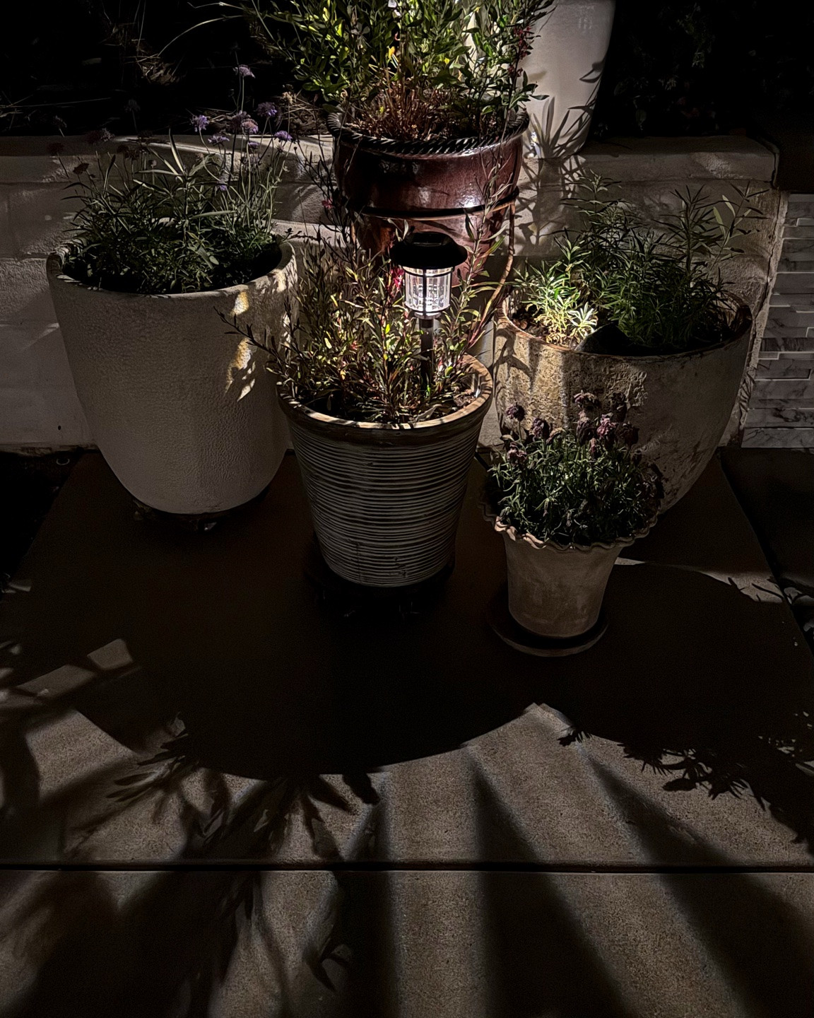 Love the pattern these solar charged outdoor lights cast at night! 

#springtime #slowlife #gardening

#LTKSeasonal