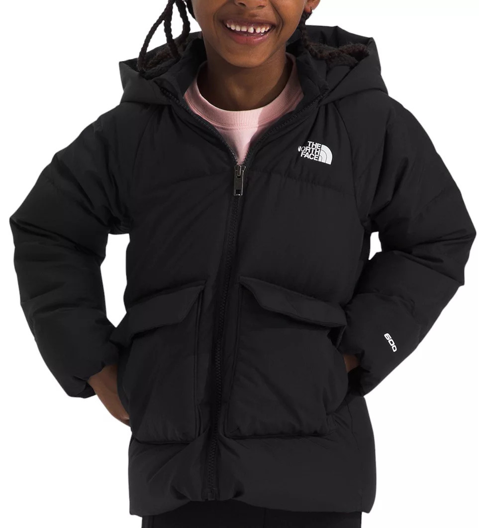 The North Face Little Kids' North Down Fleece-Lined Parka | DICK'S Sporting Goods