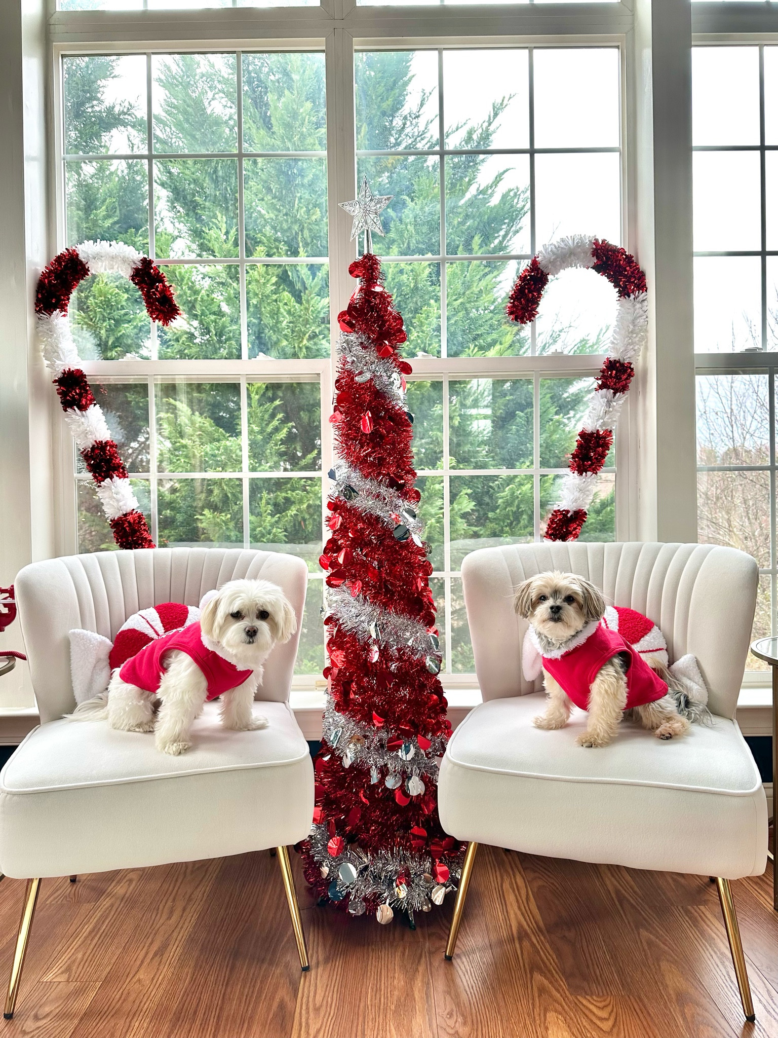 #LTKSeasonal #LTKHoliday #LTKCyberWeek