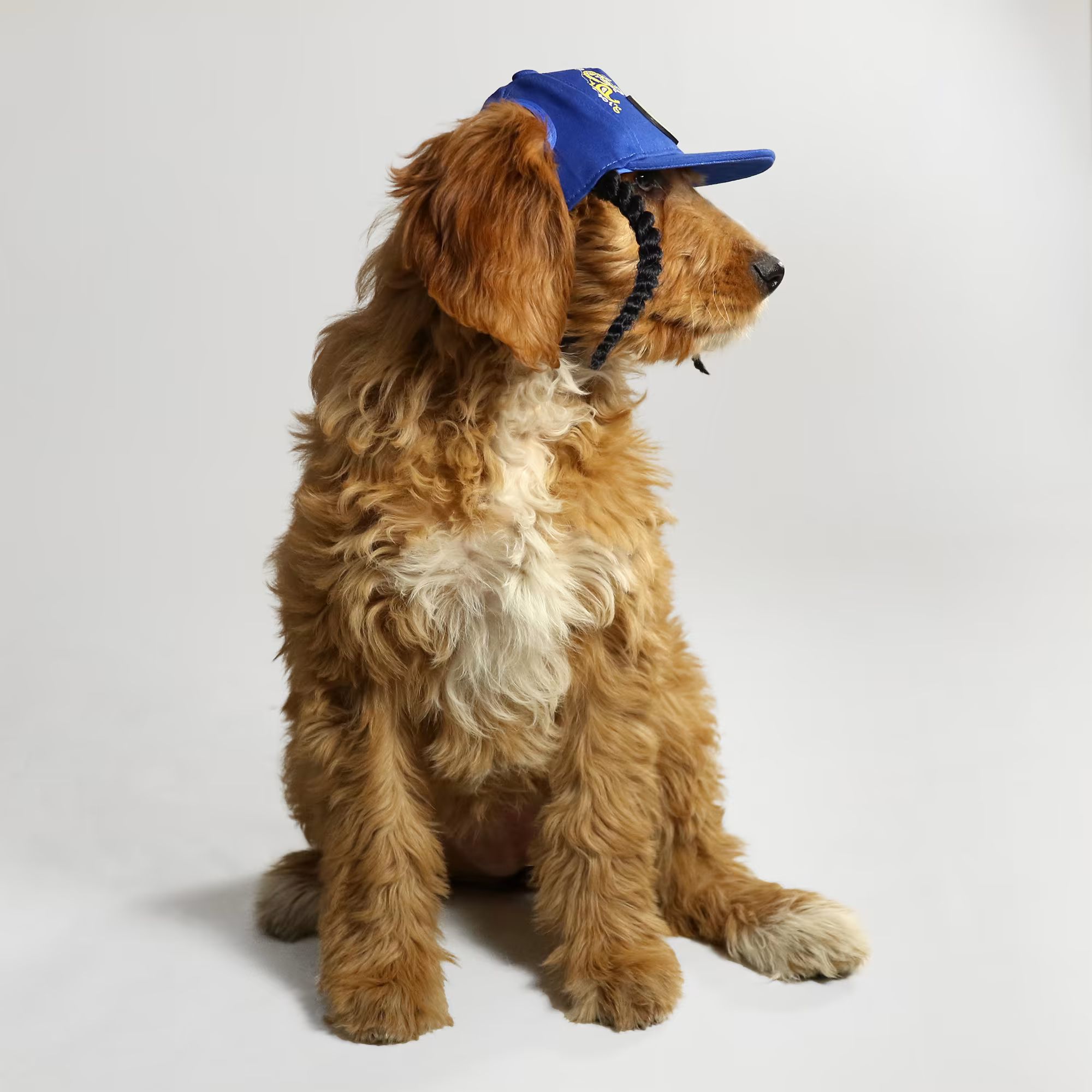 Snoop Doggie Doggs Blue Halftime Deluxe Pet Baseball Hat, X-Small | Petco