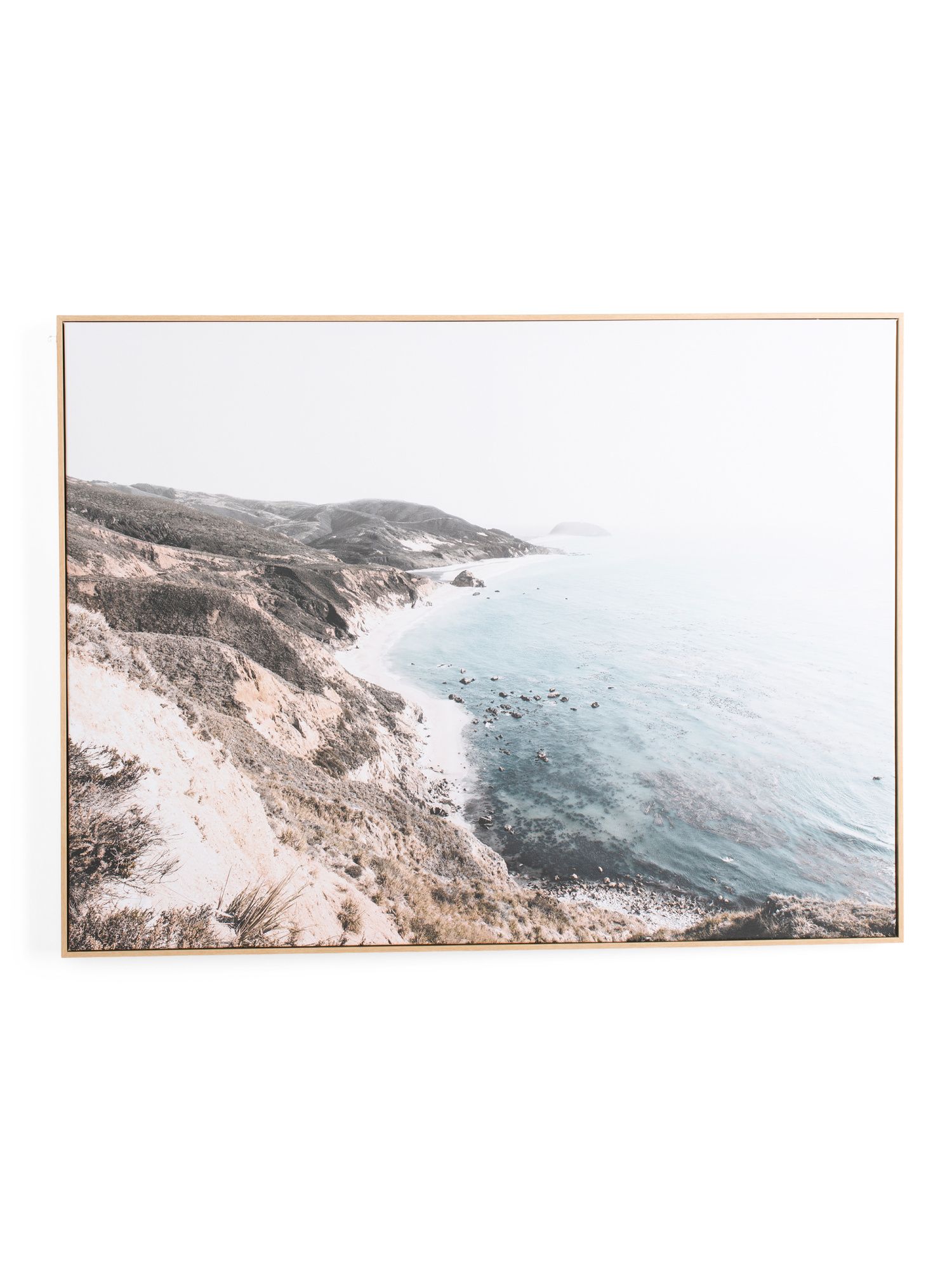 Coastal Wilderness Framed Canvas | TJ Maxx