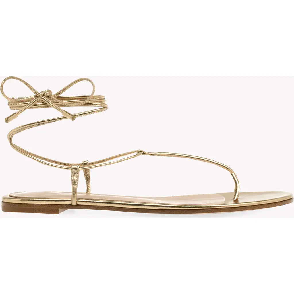 Gianvito Rossi Gwyneth Flat Sandals in Metallic Gold at Nordstrom, Size 39.5 | Nordstrom