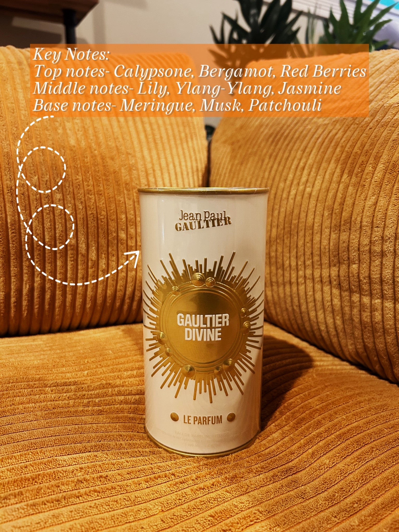 Looking for an elegant, feminine, and seductive fragrance? As this to your collection.

#fragrance #perfume #scentsational

#LTKBeauty