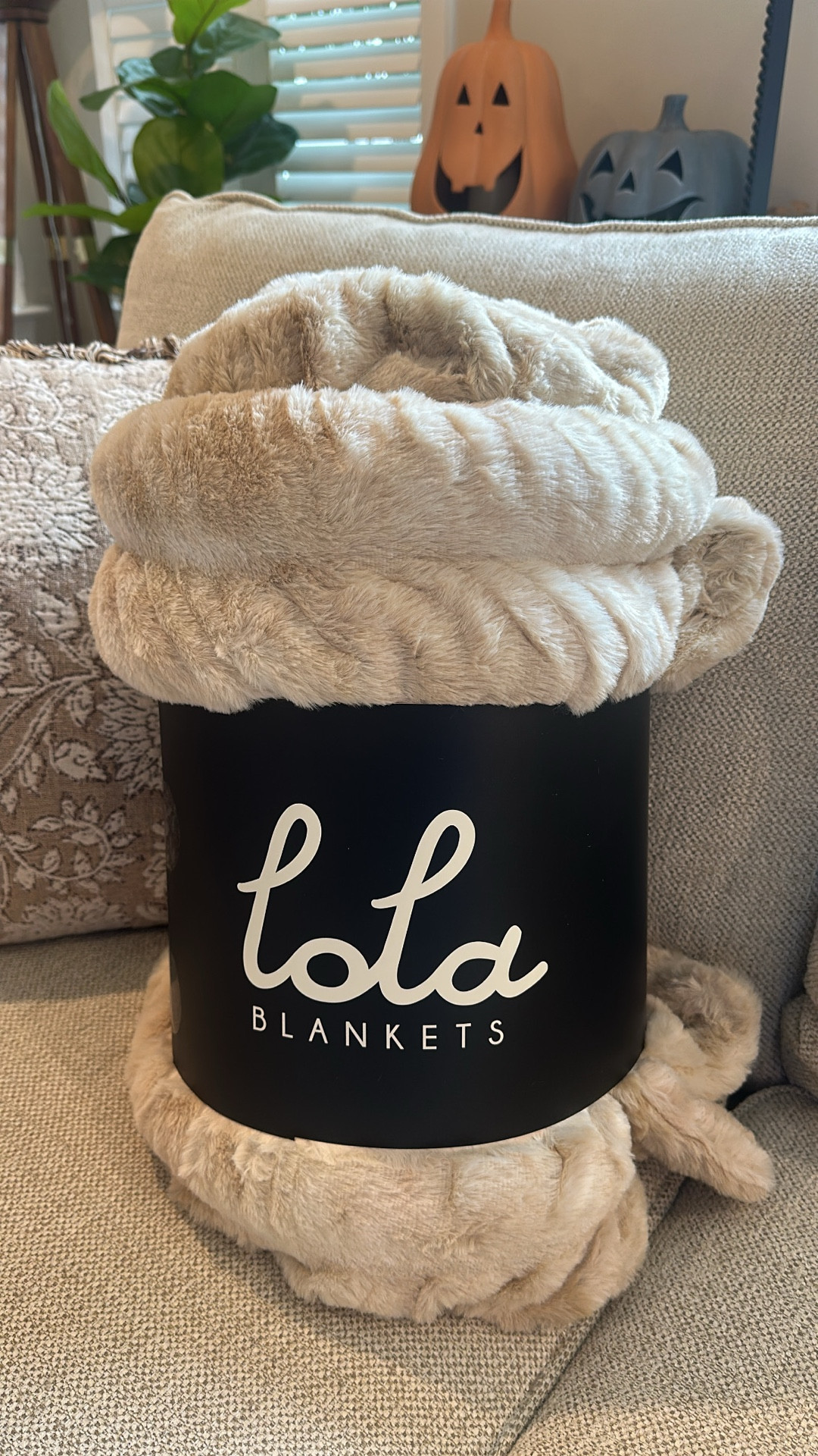To say I’m obsessed would be an understatement! Wow! It’s actually the best blanket ever made!! Use code: JLODONOHUE for 35% off!

#LTKSaleAlert #LTKHome #LTKSeasonal