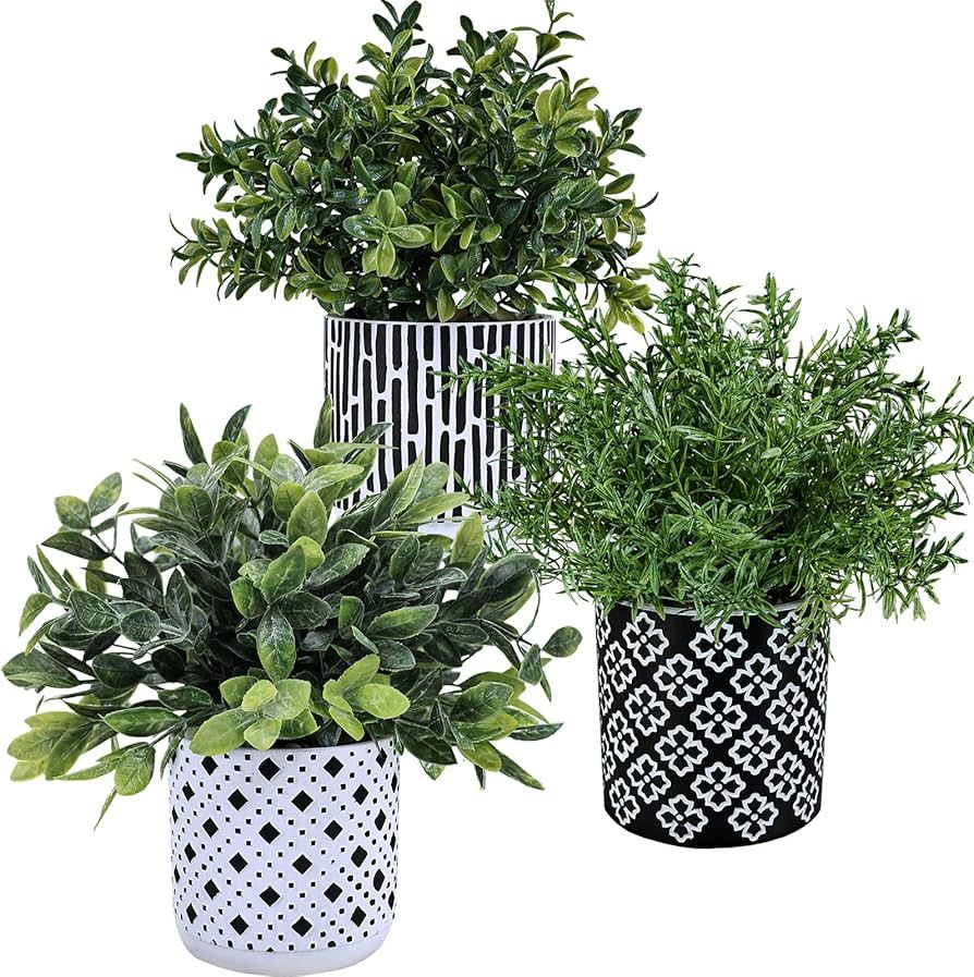 Winlyn 3-Pack Artificial Potted Plants - Faux Eucalyptus, Rosemary, Boxwood Greenery in Small Bla... | Amazon (US)