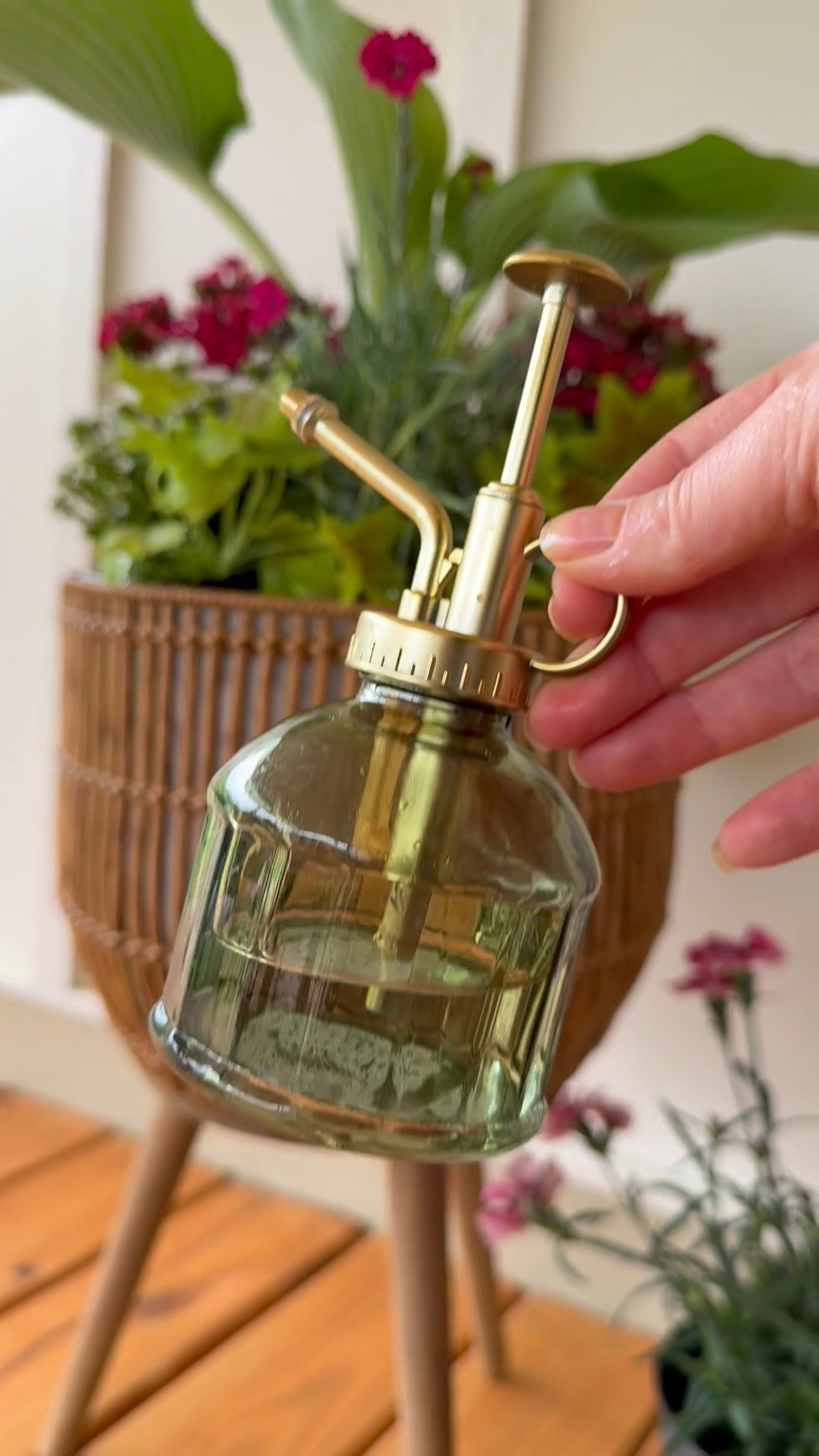 Glass plant watering mister 💦 this green color is my favorite shade  

#LTKFindsUnder100 #LTKHome #LTKSeasonal