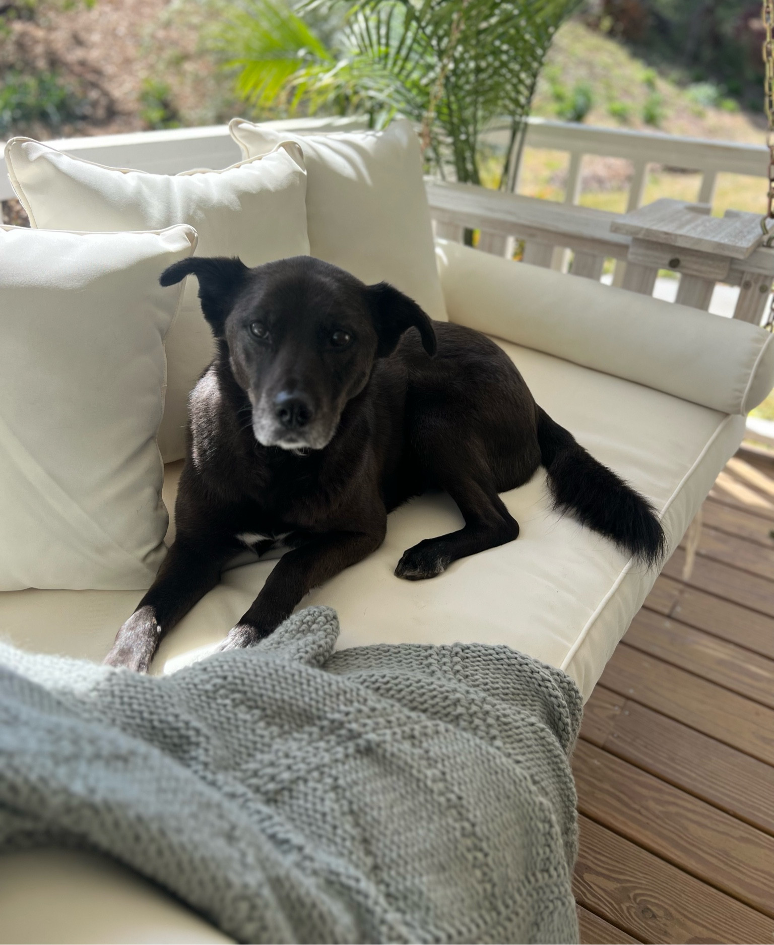 Porch swing, Sunday bed swing, porch decor 

#LTKsalealert #LTKstyletip #LTKhome