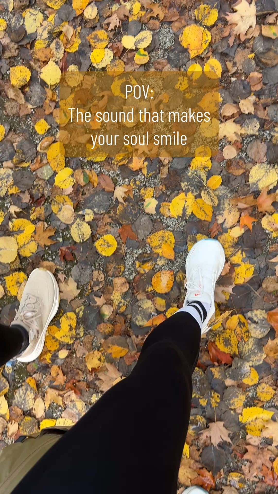 #LTKActive #LTKShoeCrush #LTKFindsUnder100