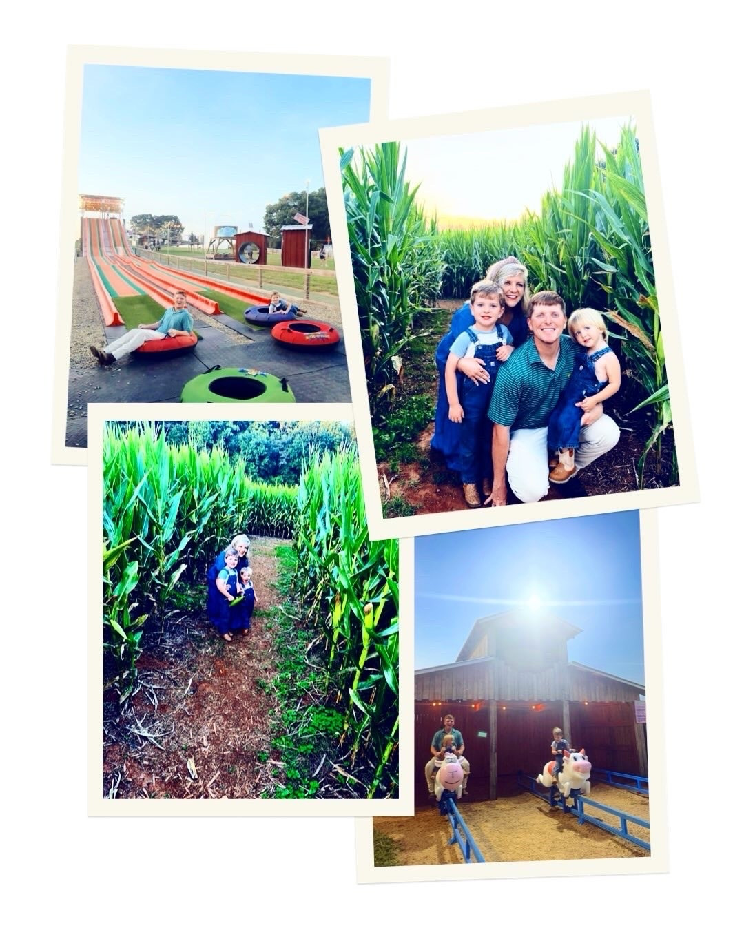 w e e k e n d  c a m e r a  r o l l 🎞️🌽🤠🐄🌾🎃🚜🍪🫧🥞🏬🦌🌳🍽️ - our annual fall 🍂 trip to the corn maze 💚💛, a trip to the sweetest country general store 🌼, dinner with friends 🫶🏽, birthday 🎈party 🥳 fun for a sweet friend at Big Air 🧡, homemade cookies 🍪 and weekend mornin’ pancakes 🥣, grocery store runs 🛒 (long live the race car 🏎️ cart days!), and an evening out on our sc property 🥰 with the cow cows!!! 🛻🐮 A full and fun 🤩 autumn 🌻 weekend all around and oh how I love this adventure called life ✨ with all my country boys!!! 🍁🤎 #weekendcameraroll #weekendfun #octoberweekend #fullhearts #countryweekend