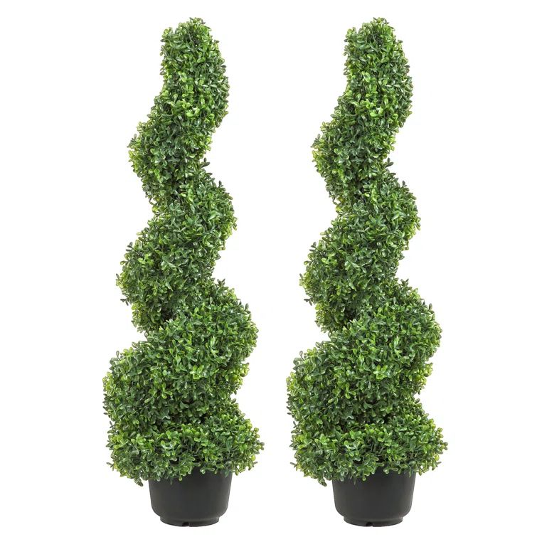 Primrue Artificial Boxwood Topiary in Pot (Set of 2) | Wayfair North America