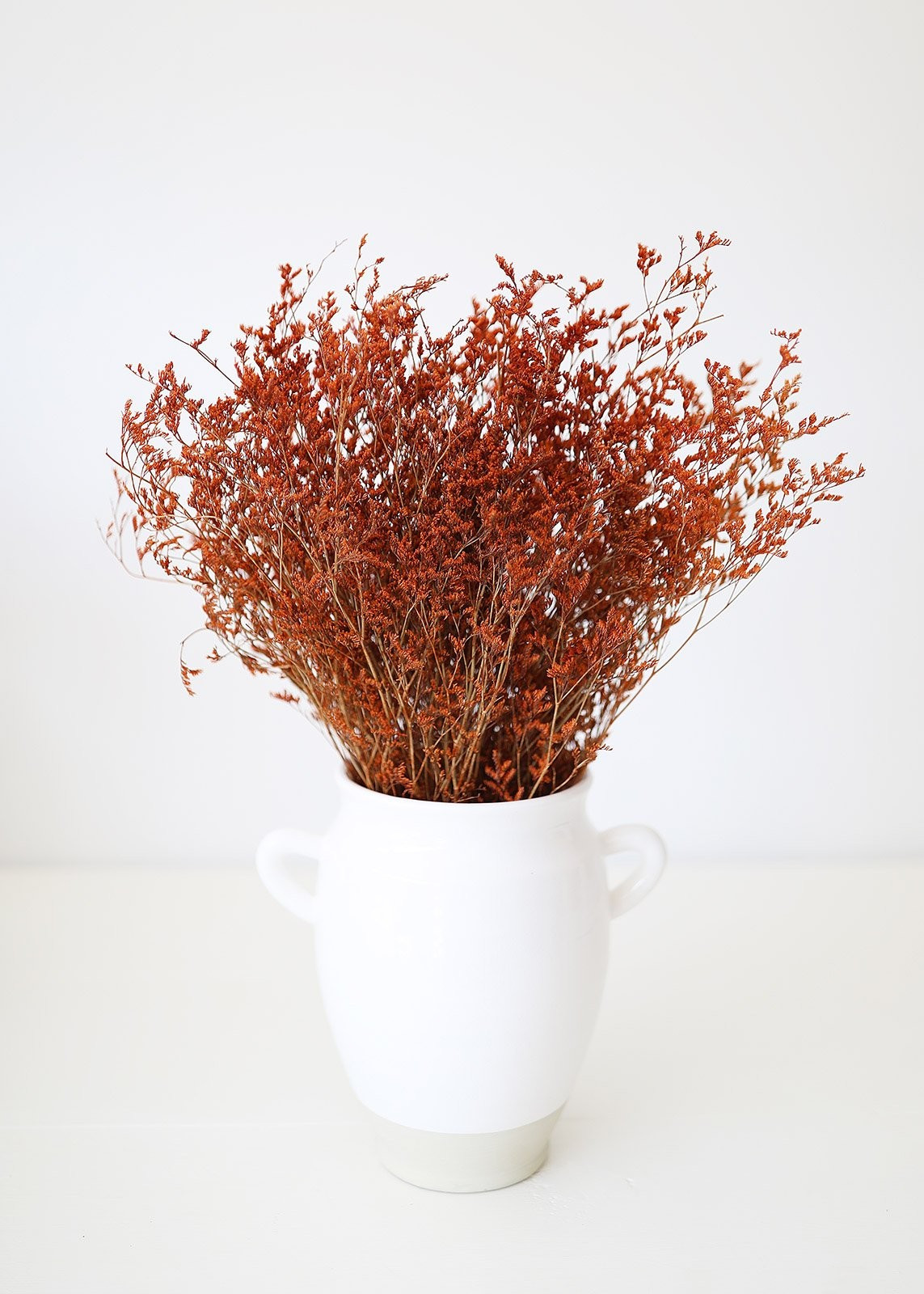Terracotta Orange Preserved Limonium Caspia Grass - 32" Tall | Afloral (US)