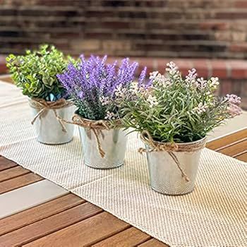 Lavender Flowers Artificial Plants | 3 Pack Small Fake Plants for Shelf Decor - Fake Lavender Pla... | Amazon (US)