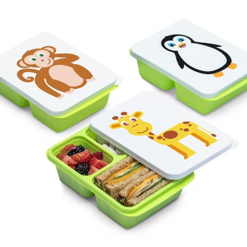 3-PACK TotBox Kids Lunch Box, Bento Snack Box for Daycare, Preschool, Kindergarten, Toddlers, Baby, Boys, Girls, Small Cute Stackable Dishwasher-safe Food Storage Containers, Fits Sandwich | Amazon (US)