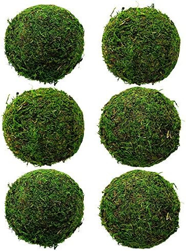 Natural Green Moss Decorative Ball 3.5" Set of 6, Hanging Balls with Handmade, Hanging Balls Vase... | Amazon (US)