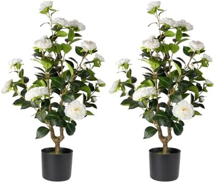 Artificial Camellia Tree 2 Pack - Realistic Camellia Plants in Pot with White Flowers, Lifelike F... | Amazon (US)