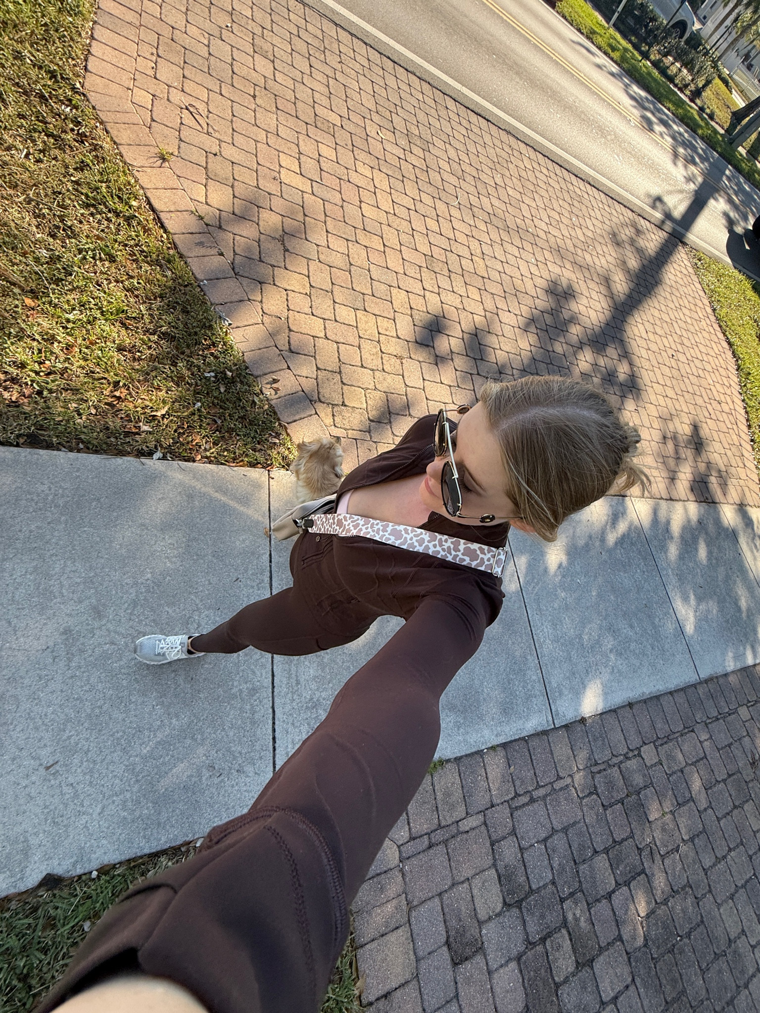 morning walk with the pup