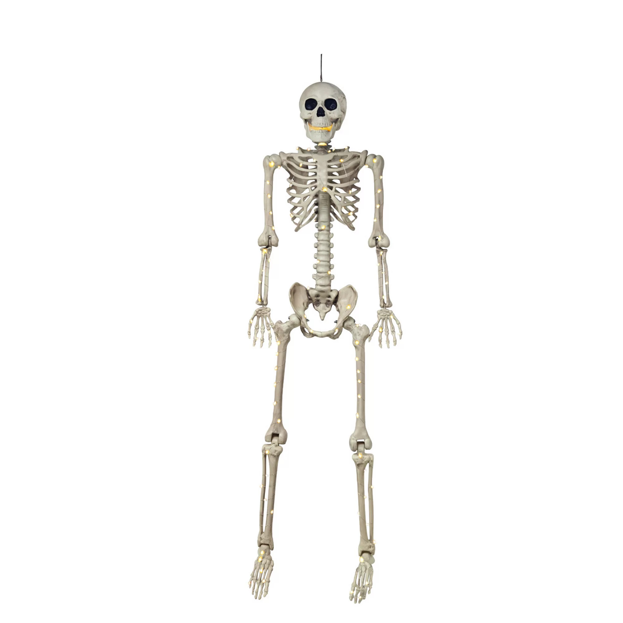 Celebrate Together™ Halloween LED Illuminated Halloween Skeleton Decor, Multi | Kohl's