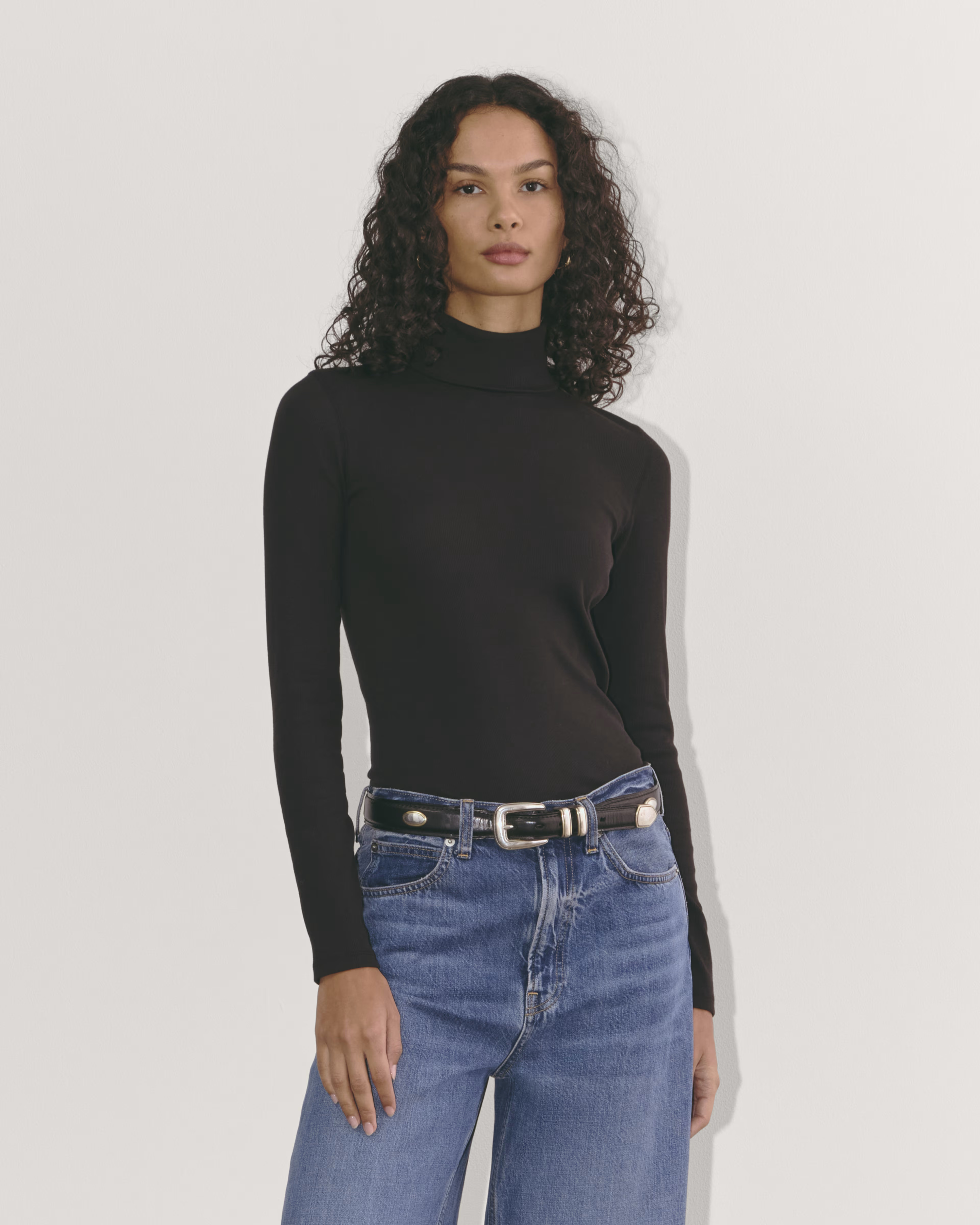 The Luxe Rib Turtleneck | Everlane