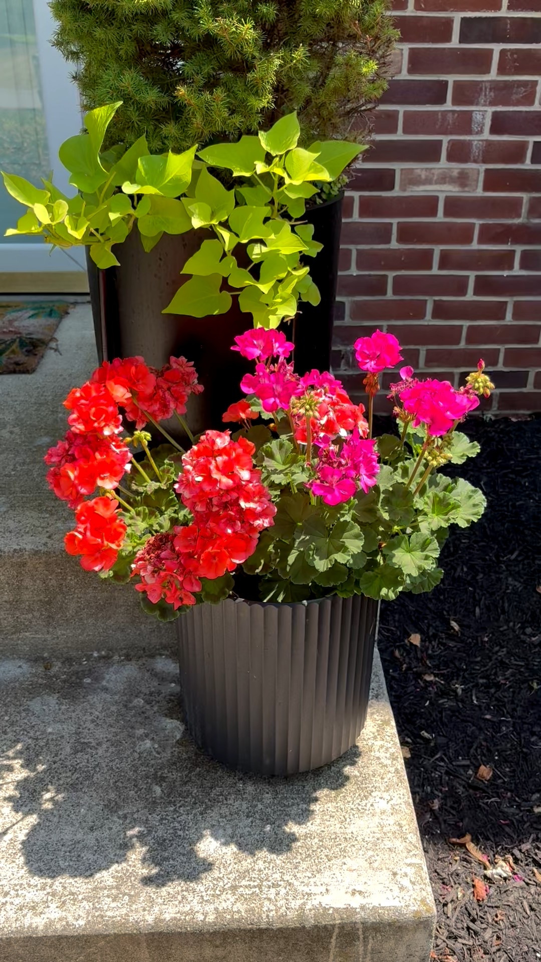 I found the most affordable, prettiest pots for my front porch steps, by the pool, on the deck or anywhere in the front of the house - by the garage needs a splash of color, too! They’re all weather, super sturdy and the neighbors have been complimenting me non-stop! I love that they’re black and make the bright pinks and reds pop! The big ones are under $100 for 2! The small ones are under $60 for 2! They come in 5 different colorways and the white version is so pretty, too! 

#LTKHome #LTKFindsUnder100 #LTKSeasonal