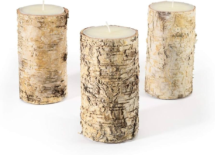 Serene Spaces Living Birch Bark Candle, Set of 3 Medium, Pillar Candle, Ideal for Weddings, Parti... | Amazon (US)