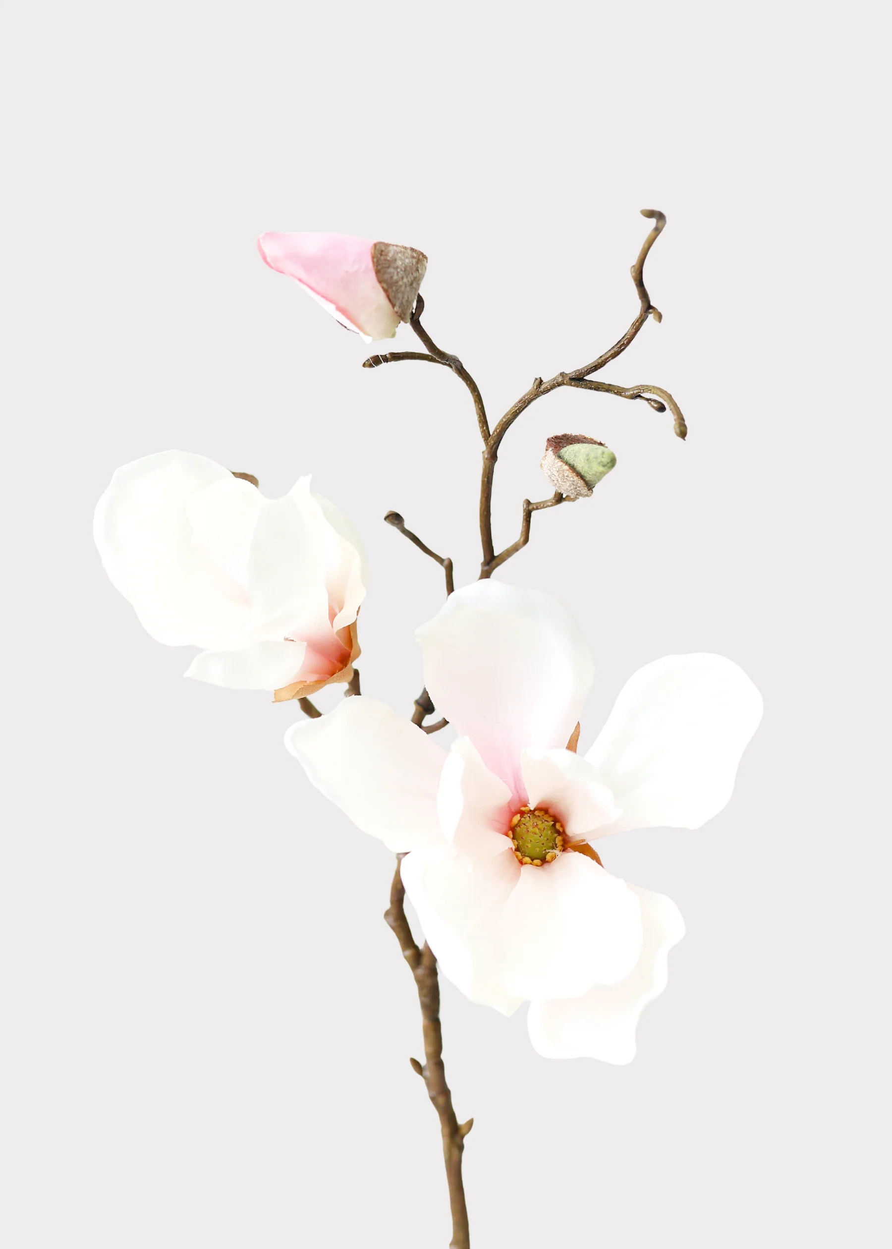 Magnolia Pick in Blush Pink | Artificial Spring Flowers | Afloral | Afloral