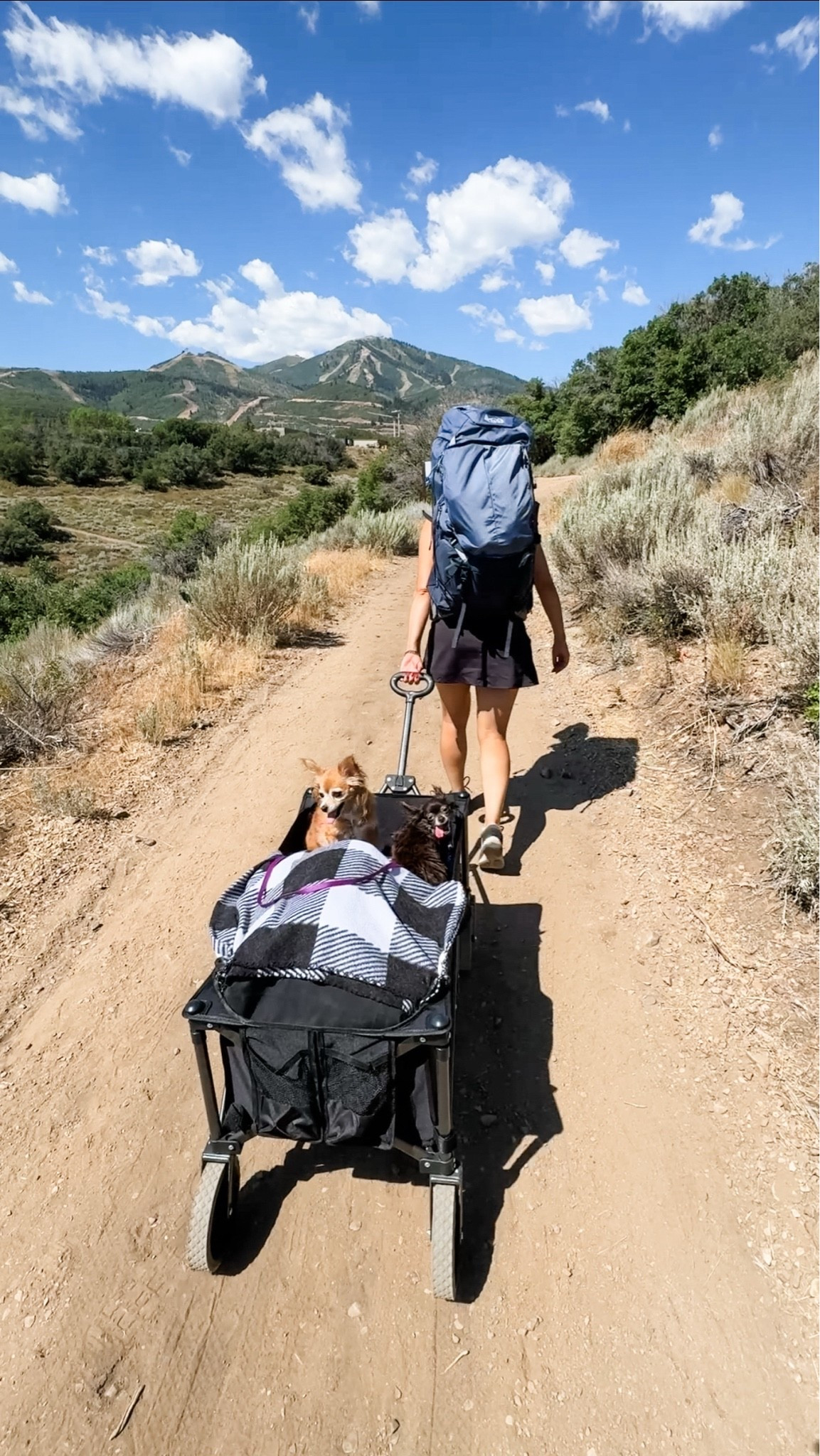 Summer camping outfit // summer camping gear // camping with dogs // what to pack for summer camping //

#LTKTravel #LTKActive