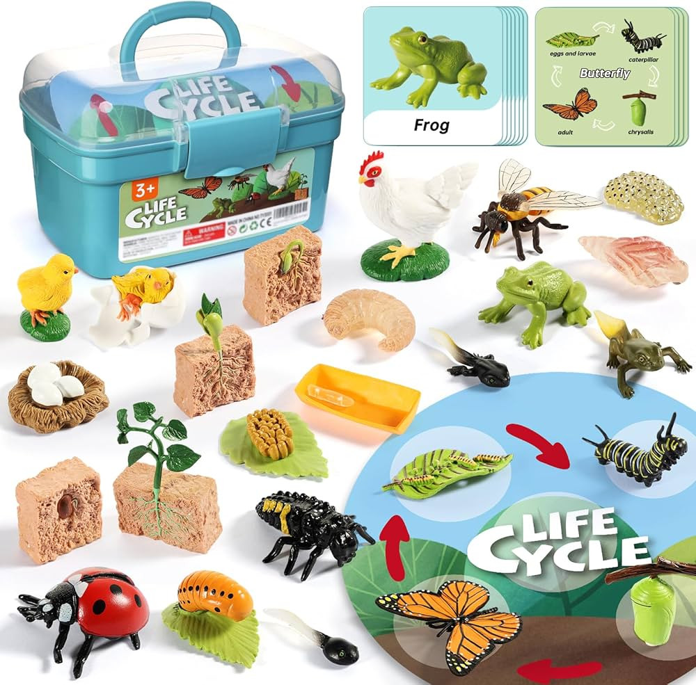 Life Cycle Kit Toy Montessori, Realistic Figurines Set for Kids with 25 Pieces Animals & Plants, ... | Amazon (US)