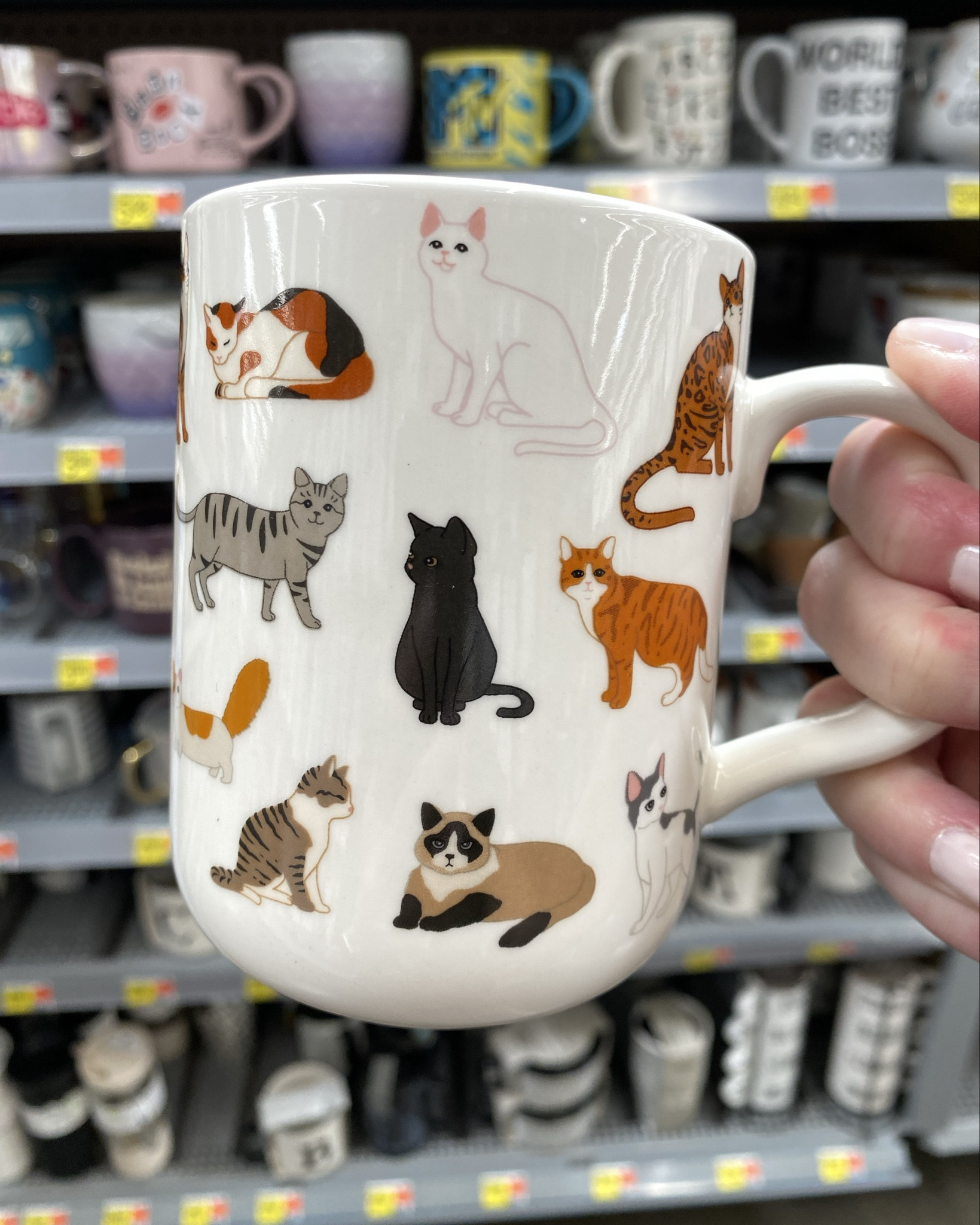 Sharing this adorable cat mug! 🐱 It’s perfect for any cat lover who drinks coffee or tea, but also, for use in mosaic art. 🐱 Break it down and use the tesserae in your next mosaic  (piqueassiette). 🐱 For mosaic tips, tutorials, inspiration, and so much more please visit my YouTube channel: YouTube.com/julieweilbacher. Follow @julieweilbacher on Instagram for all things mosaic art. cat mug - mosaic - gifts for cat lovers - mosaic art - cat cup - gifts for cat parents - cute coffee mug - gifts for cat lovers who drink coffee - gift for cat lovers who drink tea - cat tea cup

#LTKHome #LTKFindsUnder50