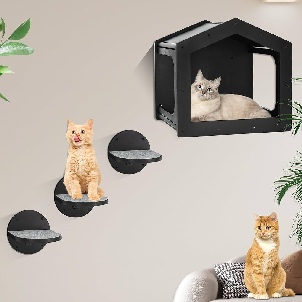 Cat Wall Shelves and Perches - House Fit for Cats Up to 25Lbs, 1 Condo and 3 Large Steps With Scr... | Amazon (US)