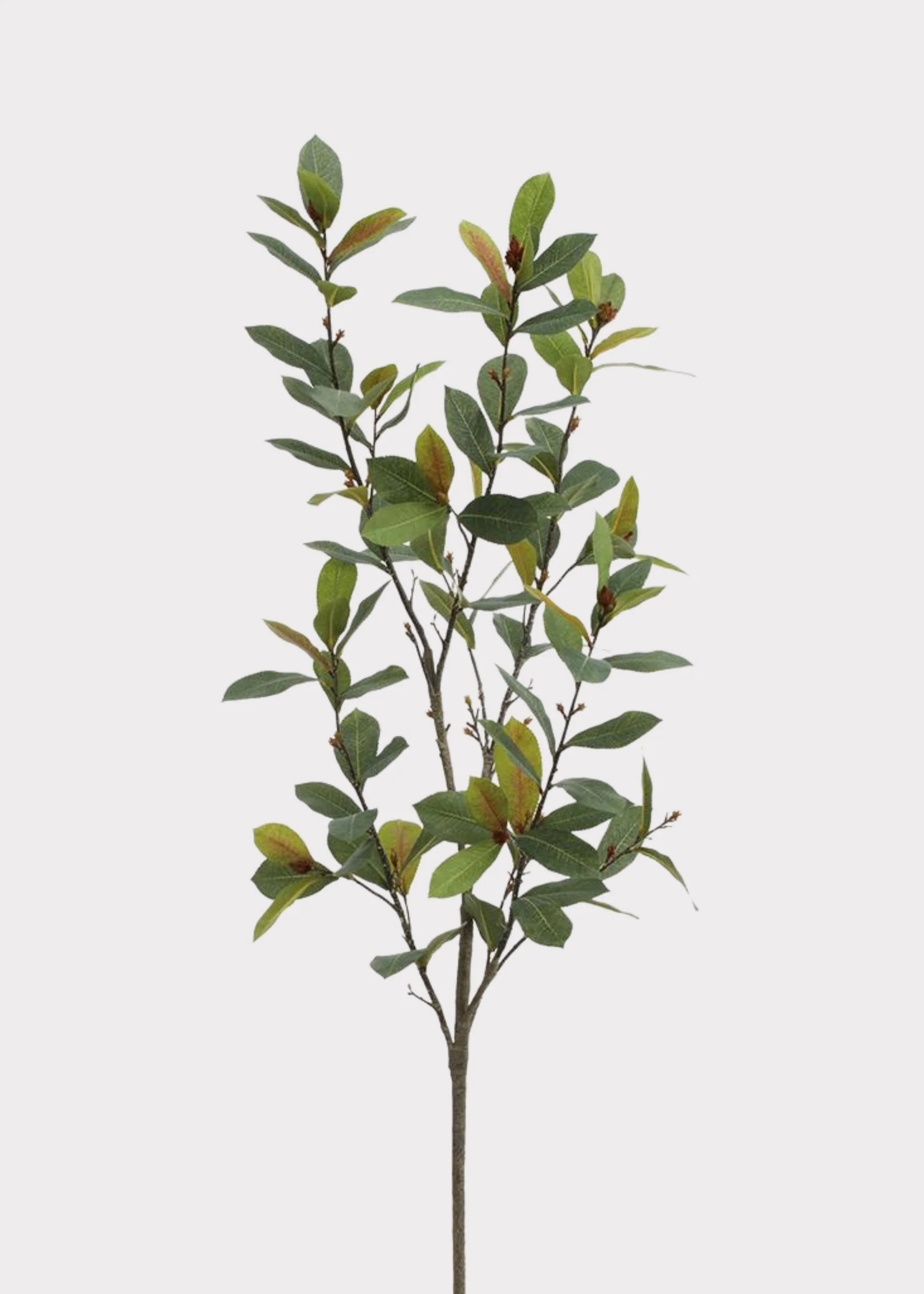 Deluxe Green Laurel Leaf Branch | Lifelike Fake Fall Leaves | Afloral | Afloral