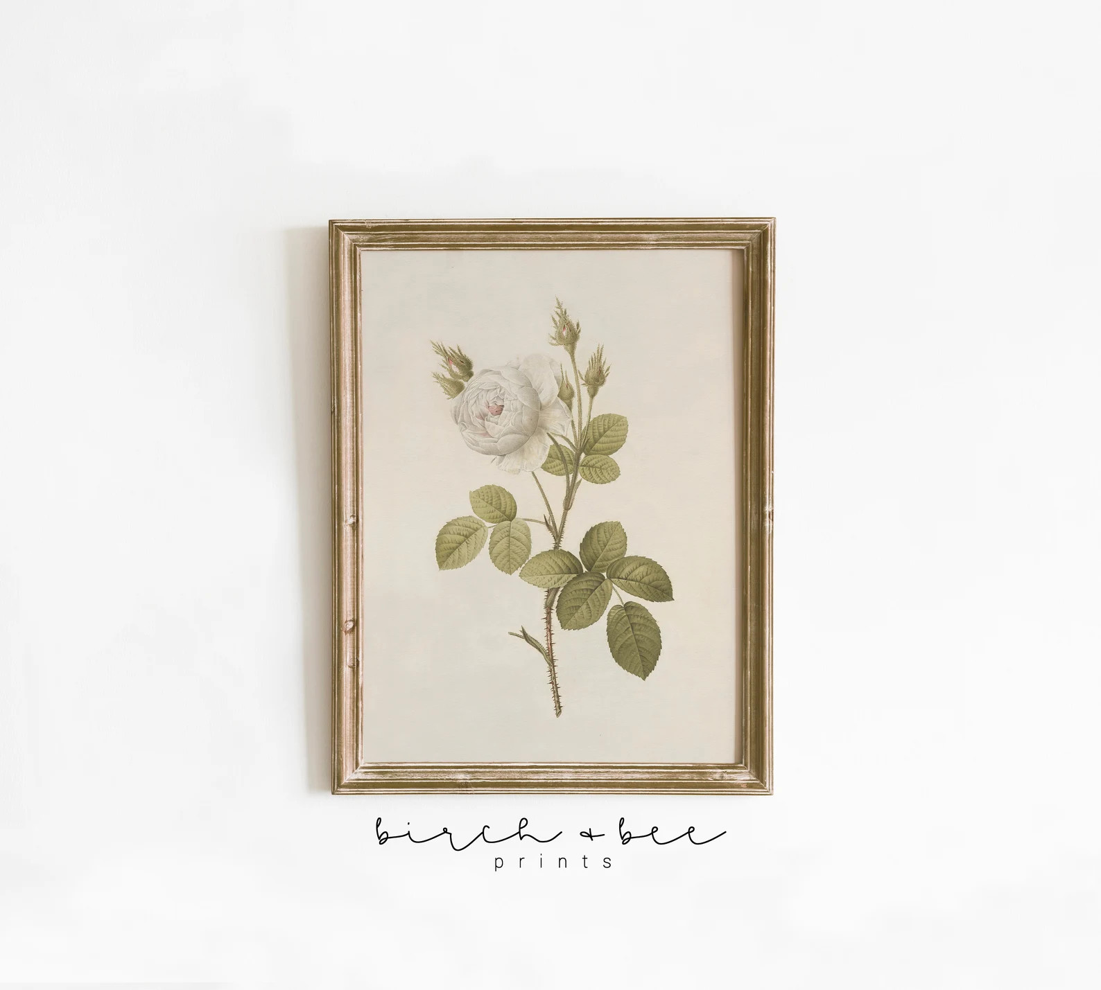 Vintage Botanical Wall Art Antique Floral Print Green Downloadable 54 - Etsy | Etsy (US)