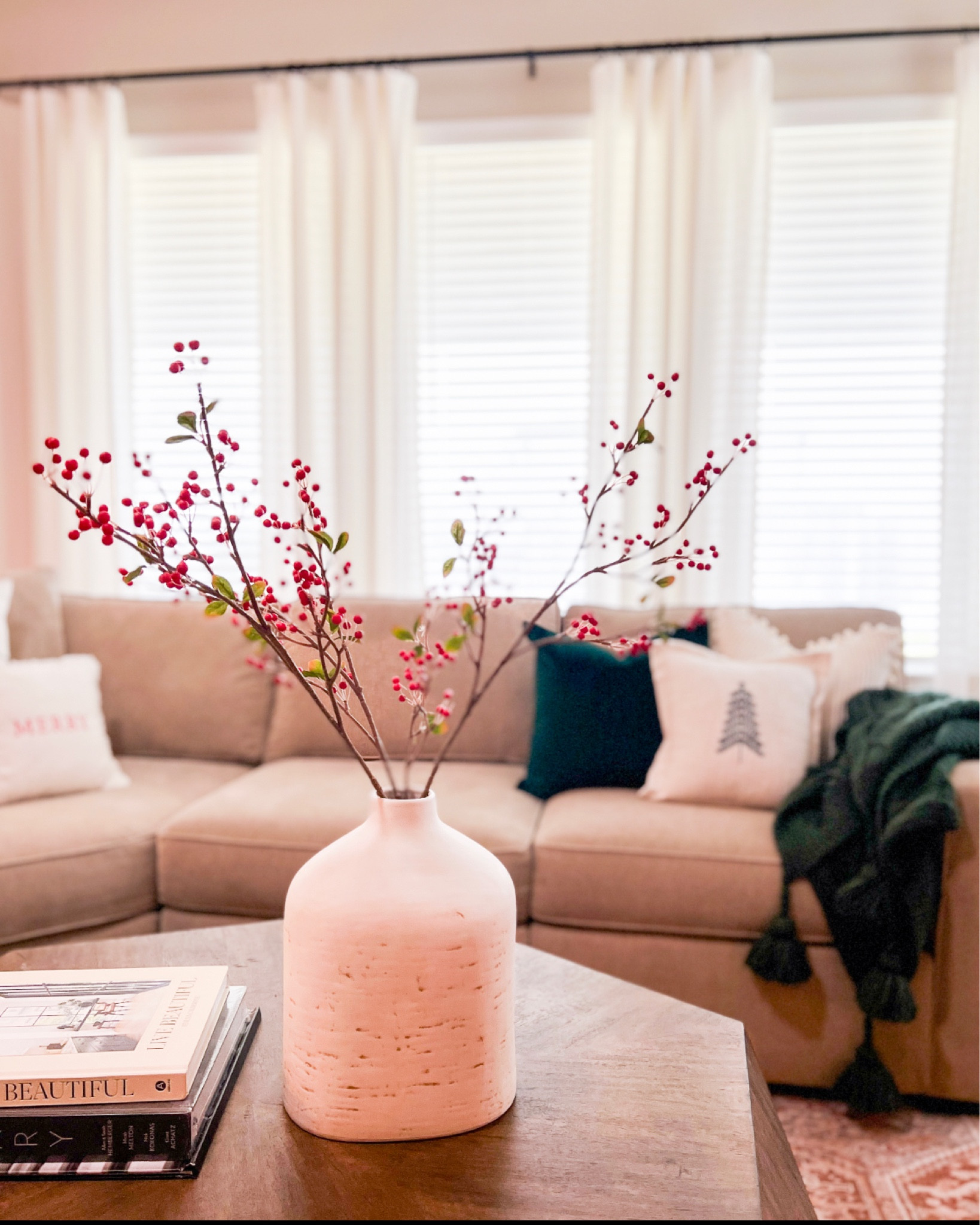 Living room decor , holiday decor , home decor , christmas decor , target home decor , target holiday decor #ltkunder50 #ltkunder100 



#LTKhome #LTKSeasonal #LTKHoliday