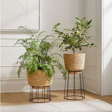 Hilo Basket Planters | West Elm (US)