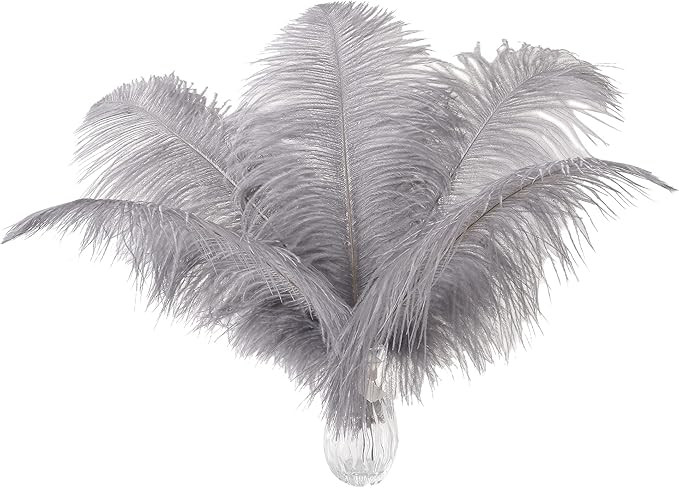 Ballinger Natural Gray Ostrich Feathers - 24pcs 10-12inch for Wedding Party Centerpieces Home Dec... | Amazon (US)