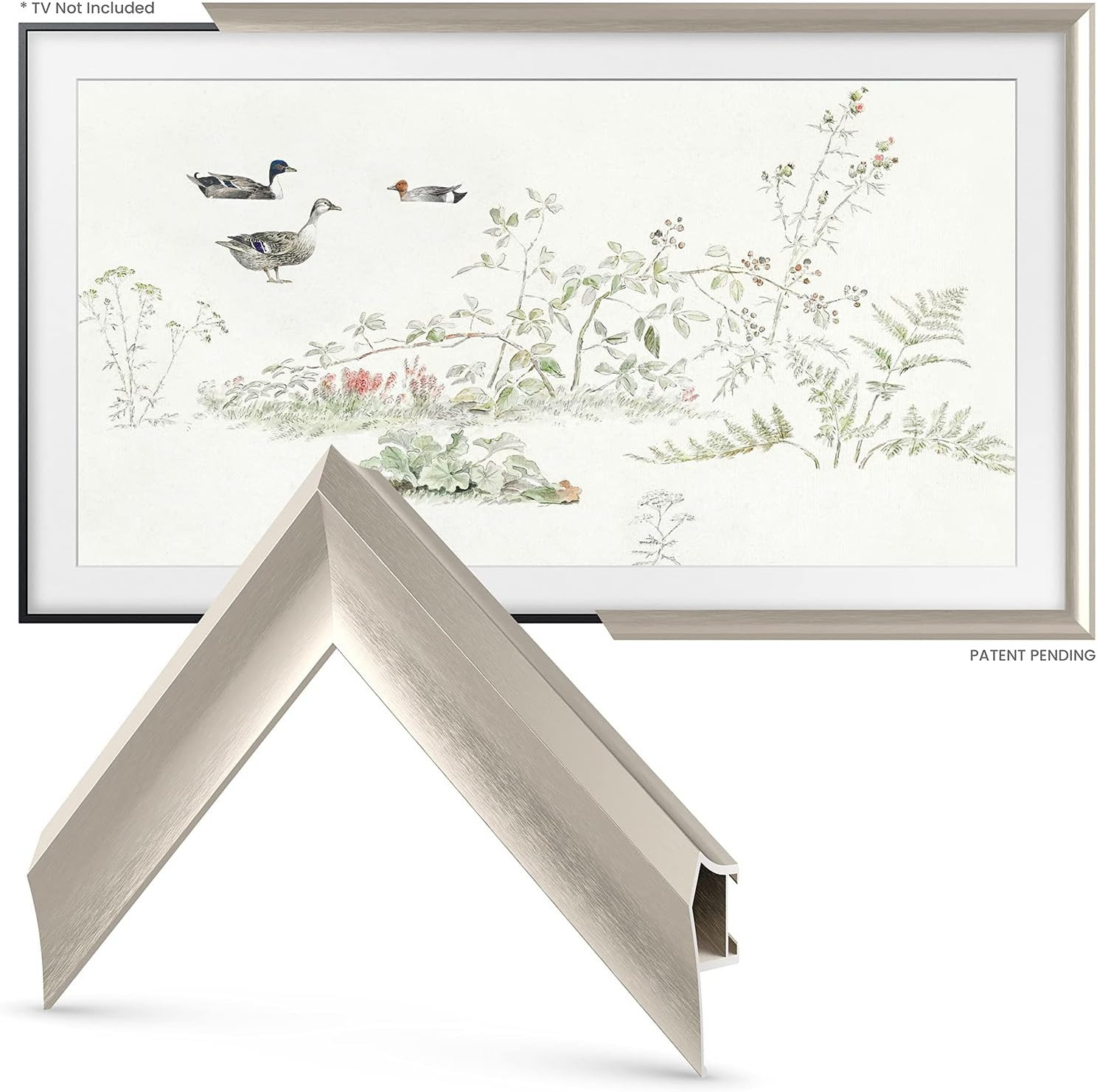 Deco TV Frames Alloy Prismatic - German Silver Bezel Compatible ONLY with Samsung The Frame TV (5... | Amazon (US)