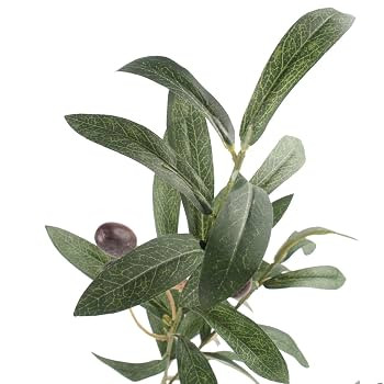 Artificial Olive Branch Stems 5pcs 28 Inch | Amazon (US)