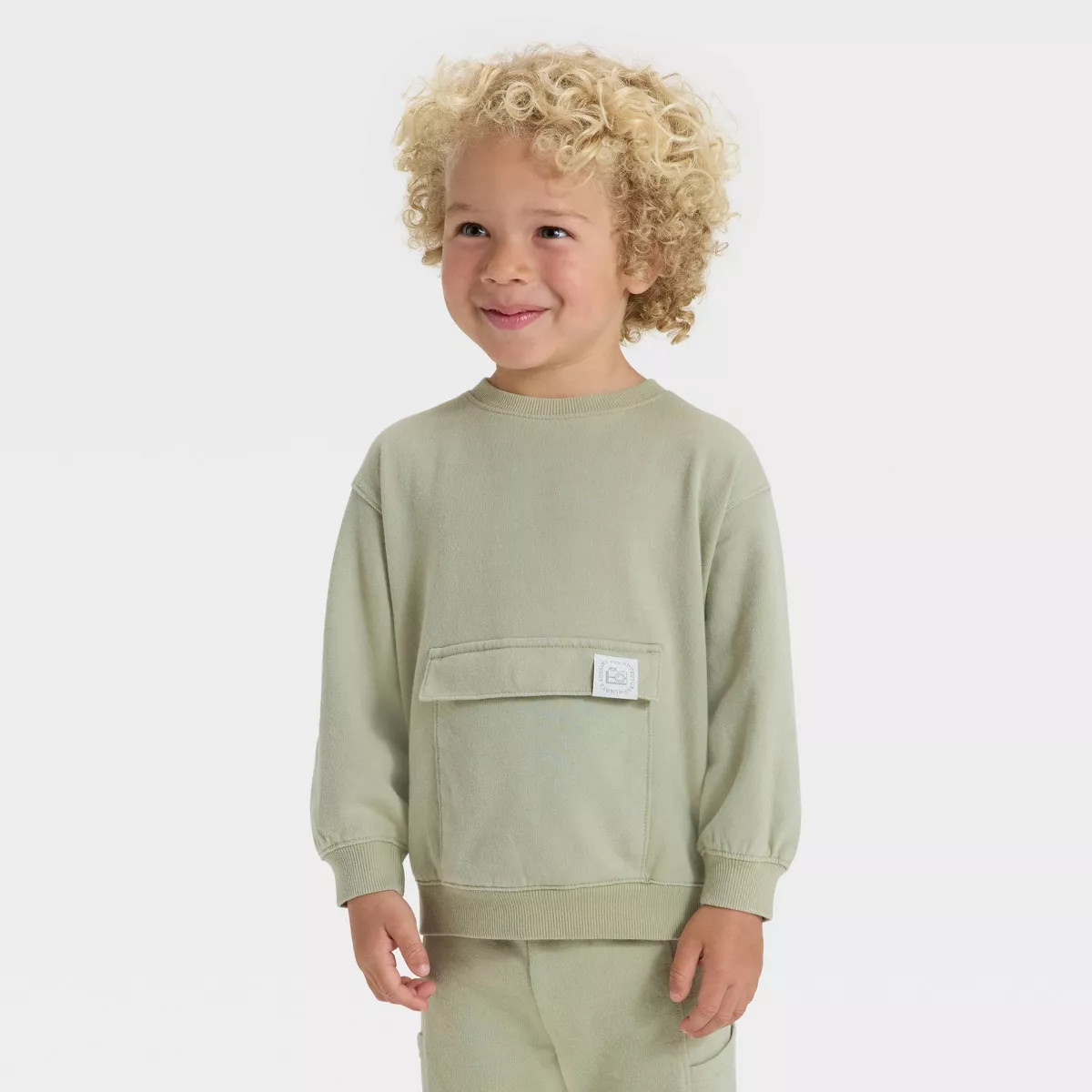 Toddler Boys' Washed French Terry Sweatshirt - Cat & Jack™ | Target