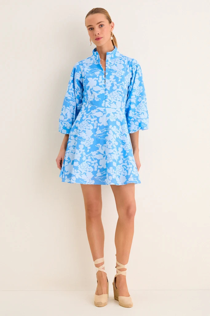Morning Glory Floral Mini Hillsborough Dress | Tuckernuck (US)