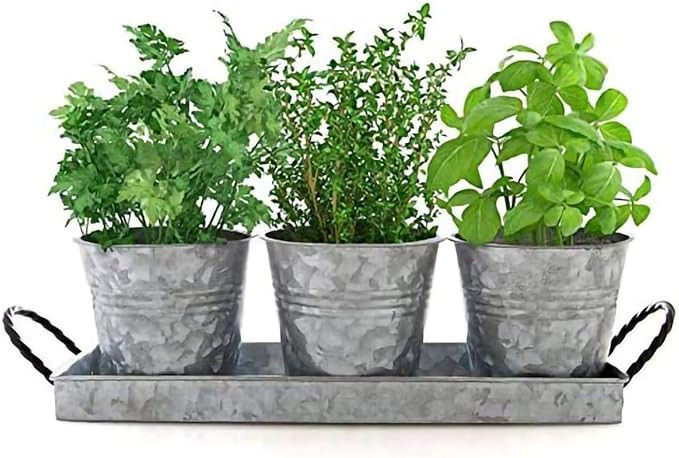 Planter Pots and Tray (Vintage) Caddy, 3 Buckets w/ Twisted Metal Handles | Windowsill Planter, S... | Amazon (US)