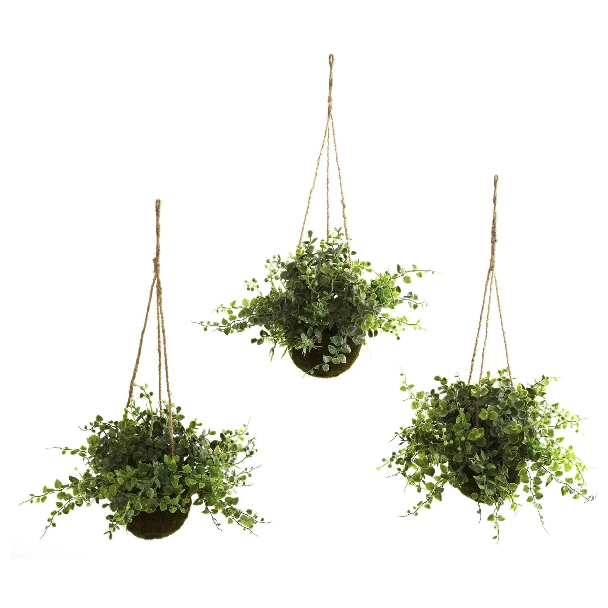 Eucalyptus, Maiden Hair & Berry Hanging Basket (Set of 3) | Nearly Natural | Nearly Natural