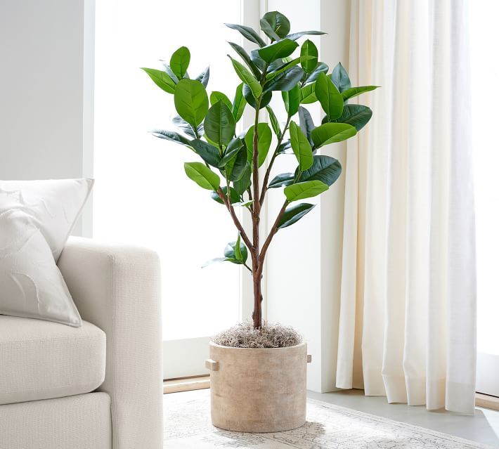 Faux Potted Rubber Tree, 51.5"H | Pottery Barn (US)