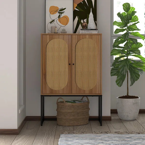 Bulverde 40.95'' Tall 2 - Door Accent Cabinet | Wayfair North America